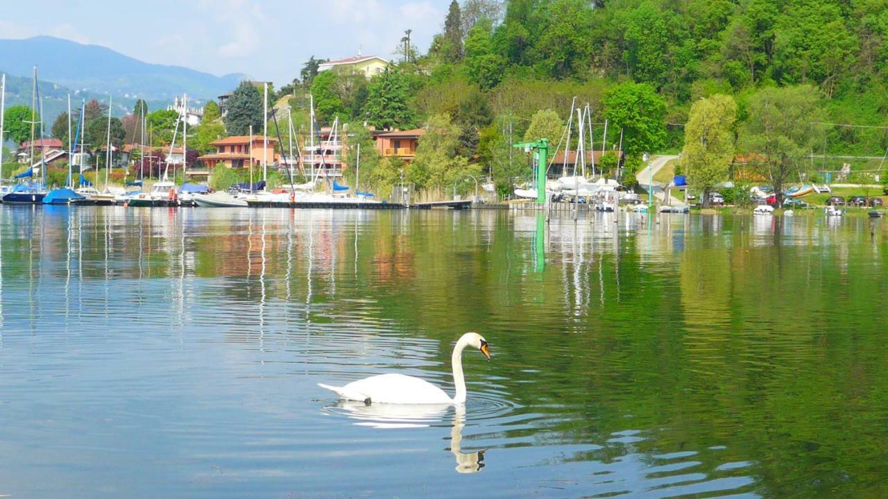 The Gulf Villa - Lago Maggiore Monvalle Zewnętrze zdjęcie