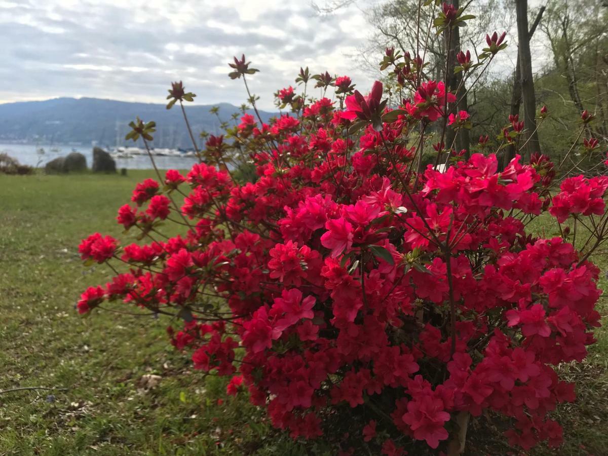 The Gulf Villa - Lago Maggiore Monvalle Zewnętrze zdjęcie